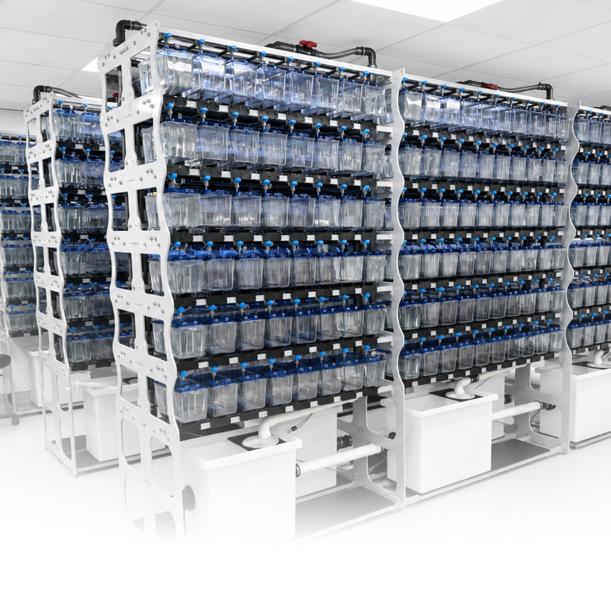 Danio Labs Zebrafish Research Systems