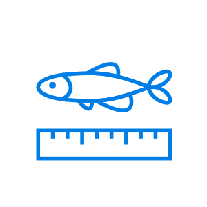 Zebrafish Products, Equipment, Services, & Technology-old